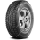 Bridgestone BLIZZAK DM V1